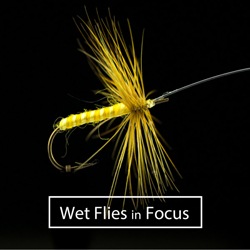 Wet Flies in Focus