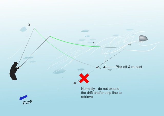 Remember to pick off the line and recast when French nymphing