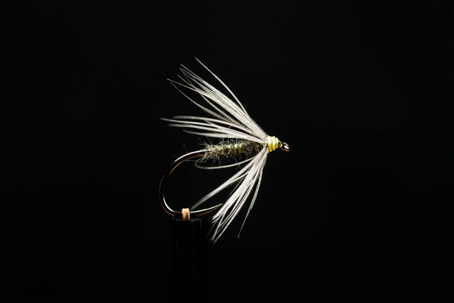 Waterhen Bloa Tied by John Pearson