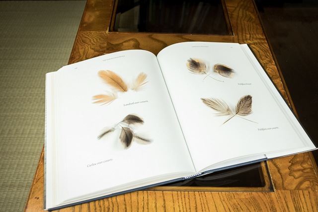 Feathers and other tying materials are detailed in Rob's book