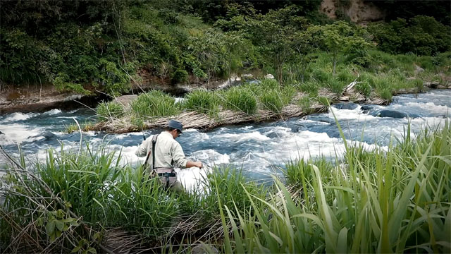 Tenkara fishing in fast, technical rivers in Japan with Kura-san
