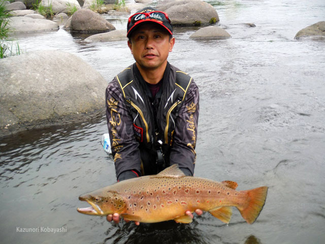 Kazunori Kobayashi with huge honryu tenkara capture (non-native brown trout)