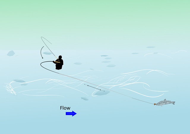 Applying upstream pressure to a big fish hooked on tenkara gear