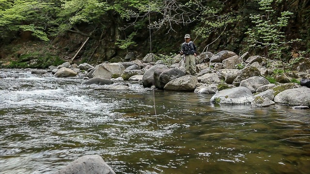 Smoky Mountain Fly Fishing Video Blog - Fishing with poppers for