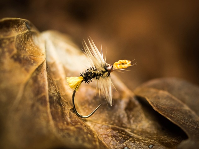 Akiyamago Kebari with Clipped body Hackle inspired by Yoshikazu Fujioka's My Best Streams Website