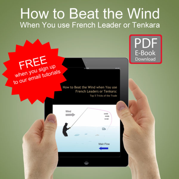 How to Beat the Wind