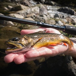 Fly Fishing in Italy