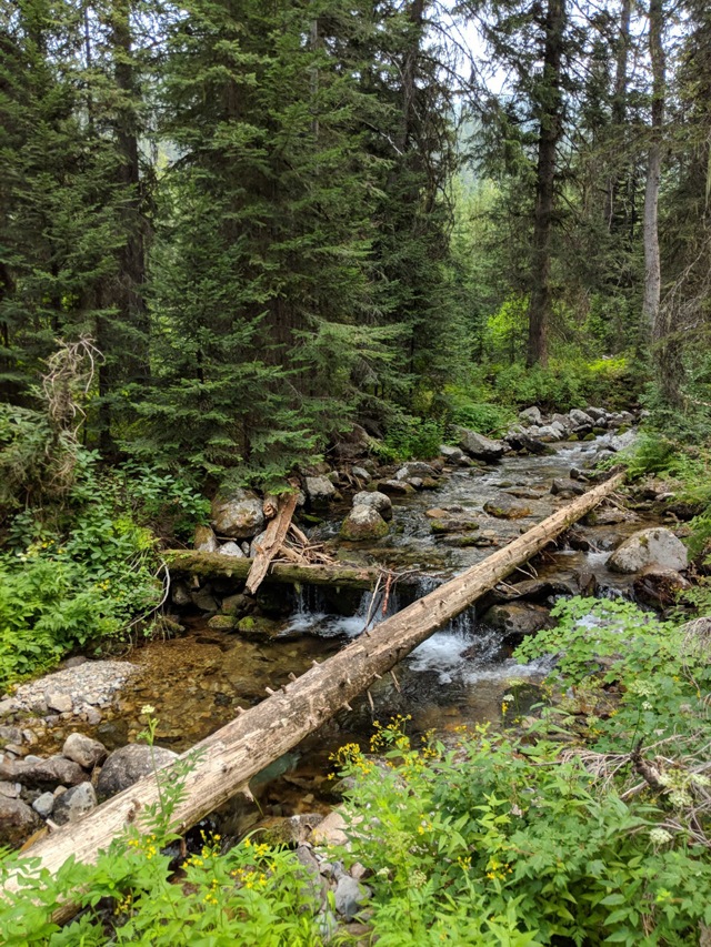 Creek fishing in Idaho