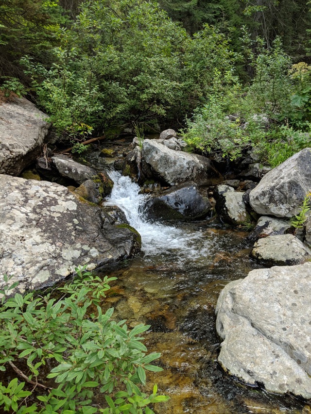 Canyon and plunge pool on Idaho trout stream