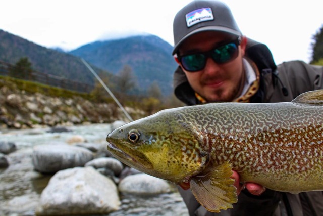 Italian Marble Trout