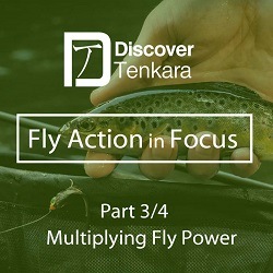 Fly Action in Focus Part 3