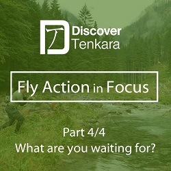 Fly Action in Focus Part 4