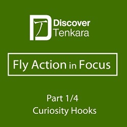 Fly Action in Focus Part 1