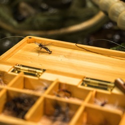 A bamboo rod and a horse-hair line: Trip Report