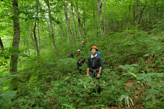 Hiking through a Japanese Mountain Forest to Reach Genryu Streams