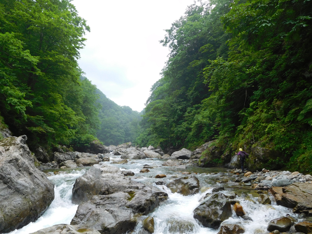 Beautiful Genryu River Landscape in Japan