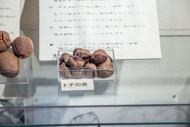 Nuts of various Japanese trees for pounding into flour
