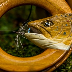 www.discovertenkara.com