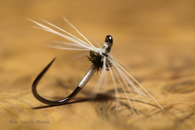 July Dun North Country Fly