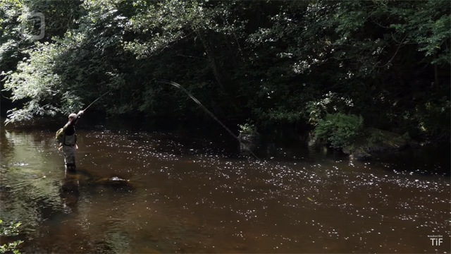 Tenkara Fly Fishing Video Freeze Frame Hook Up