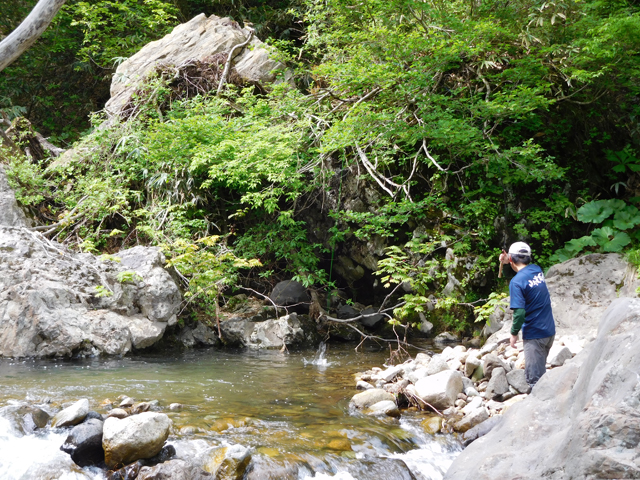 Keiichi Okushi hooking a fish in a genryu stream
