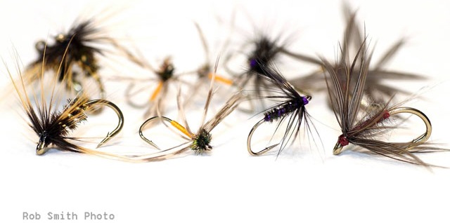 Dry Trout Fly Black Spider Dry Fly Mixed Size 10 to 16 Fishing Flies 12 Pack 