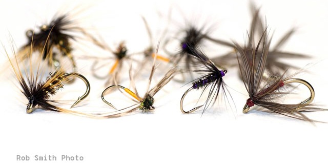 North Country Flies Collection