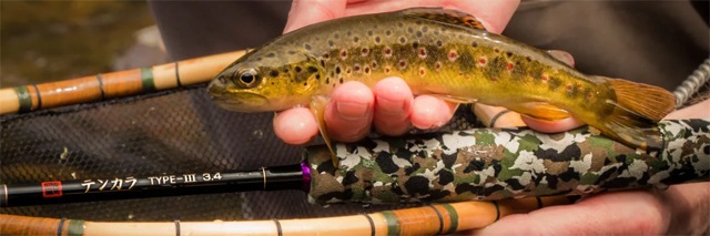 Oni Type II and Discover Tenkara Syndicate Streams Trout