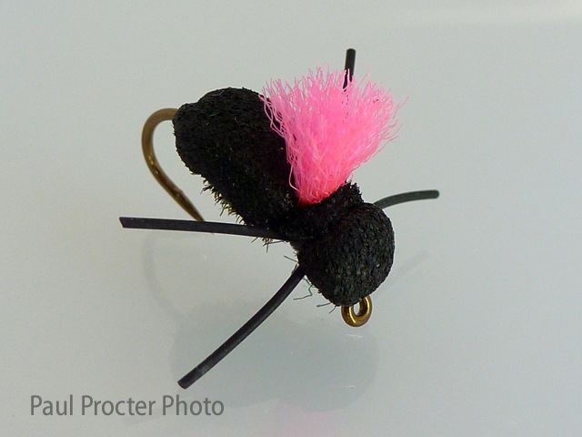 Paul Procter Foam Beetle Dry Fly with Hi Viz Sighter Wing-post