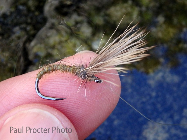 Wyatt's Deer Hair Emerger tied by Paul Procter