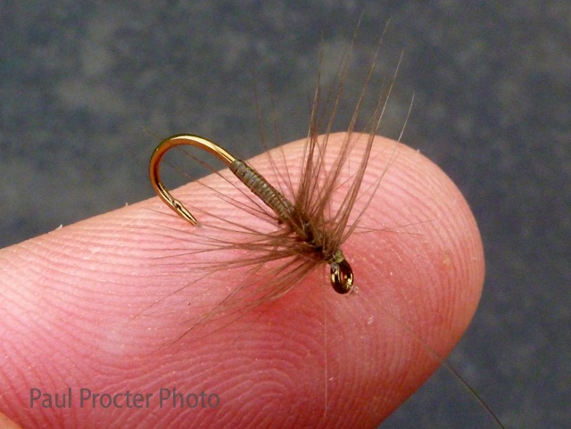 6 Pack White /& Orange Spiders Wet Spider Trout Flies Choice of Sizes