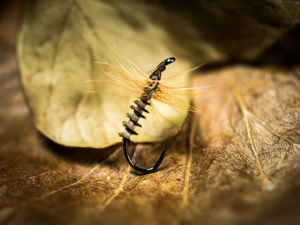 Stiff hackled wet fly