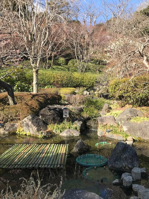 Shrine Gardens