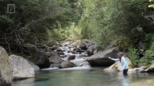 Susan fishing a pool