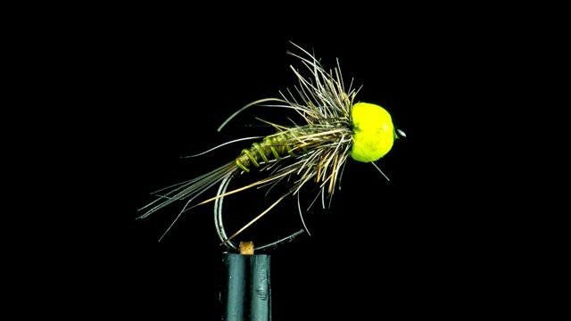 Trout flies can use a hot spot for either the angler or the fish - or both!