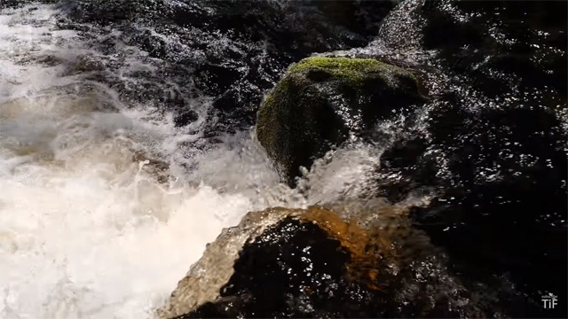 White water freeze frame from above
