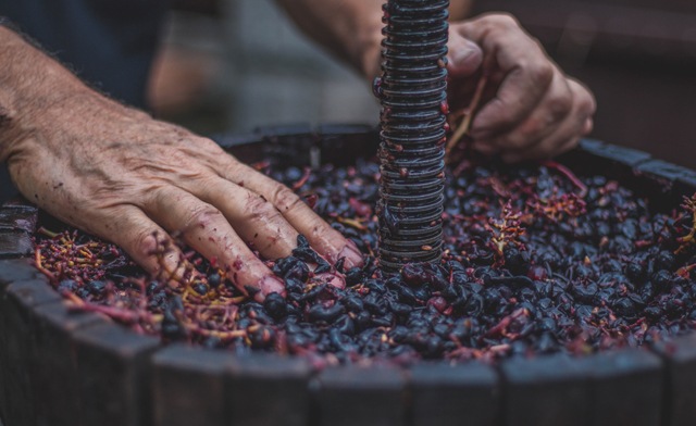 Good wine is part of the Italian Fishing Experience