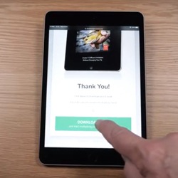 Download PDF to iPad