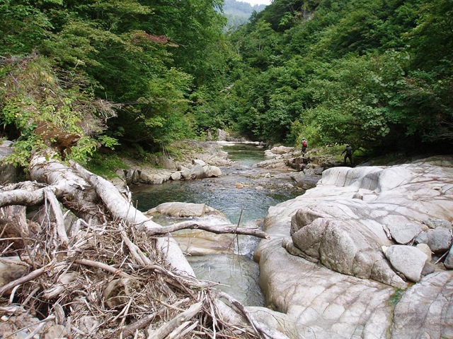 Exploring Remote Genryu