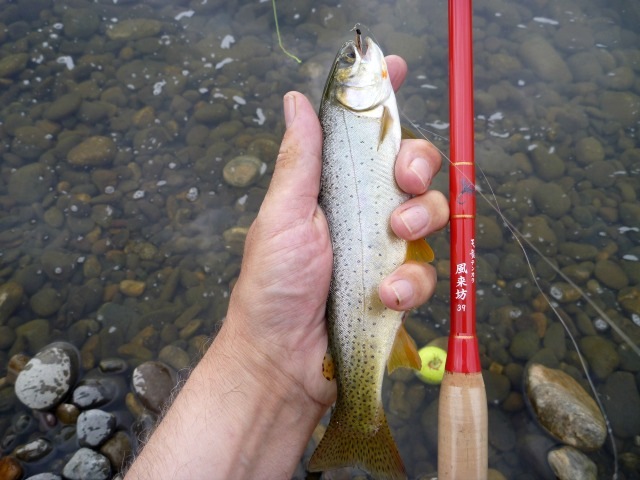 Tenkara Rod Facts: 5 Points you NEED to understand before you buy