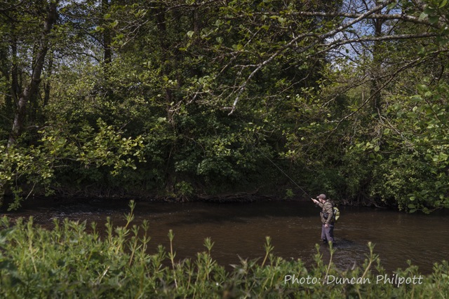 Small Stream Fly Fishing on the River Taw in Devon