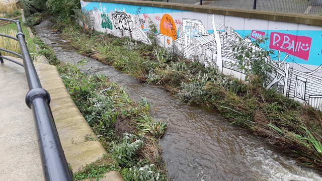 Urban Small Stream Trout Fishing in Sheffield