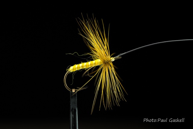 H.C. Cutcliffe "Conspicuous" wet fly